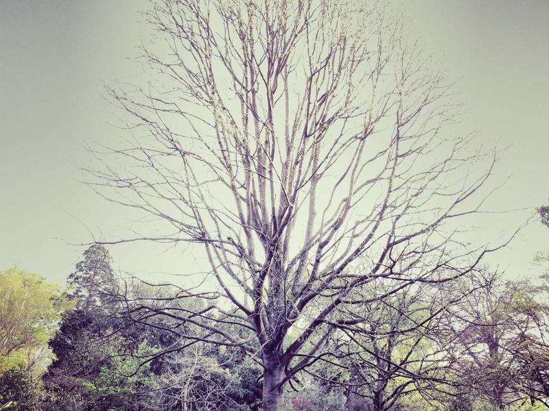 X平台引流涨粉<br>精准垂直类目自然增粉运营指南